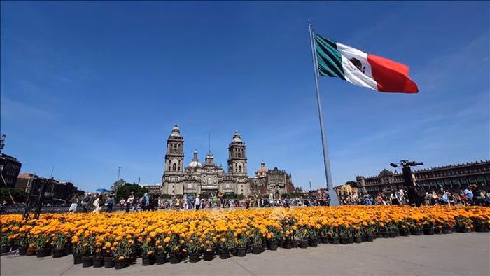 Quảng trường Zócalo sẽ là tâm điểm với sức chứa hàng chục nghìn người, tạo nên không khí lễ hội sôi động.