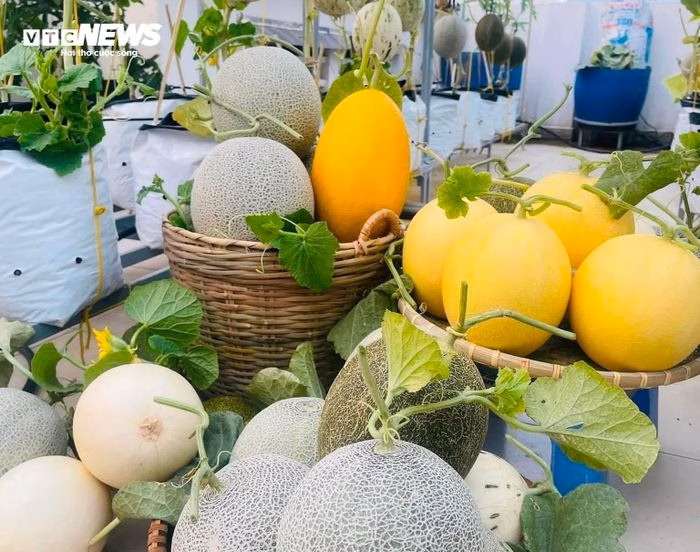 Chia sẻ kinh nghiệm làm vườn