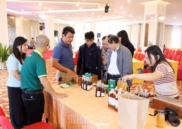 Các đại biểu tham quan, tìm hiểu dự án khởi nghiệp tại chung kết Cuộc thi Khởi nghiệp đổi mới sáng tạo Khánh Hòa năm 2025.