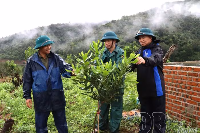 Nỗ lực thu hút đầu tư vào nông nghiệp