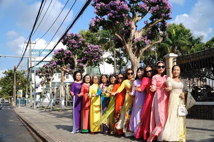 Mùa hoa bằng lăng là món quà tuyệt vời của thiên nhiên dành cho mảnh đất Vĩnh Long