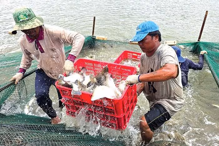 Xuất khẩu nông lâm thủy sản đạt hơn 23 tỉ đô la Mỹ trong 4 tháng đầu năm